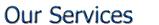 Scout Web Solutions Services